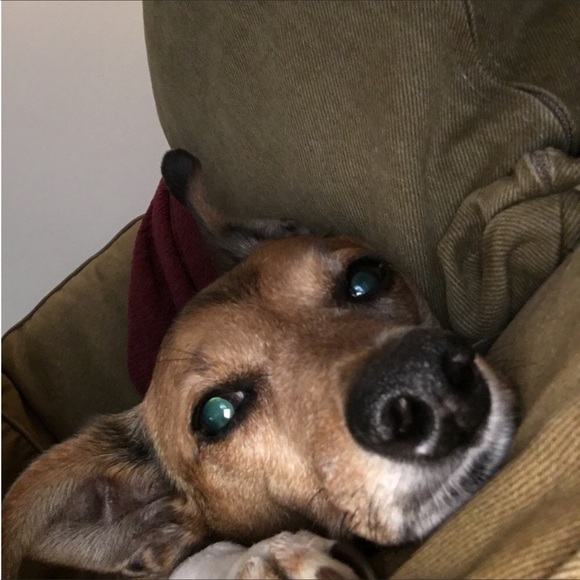 🐶Ben🐶 Beautiful Oval Raspberry Rhodolite Garnet 2.81 carats - Picture 8 of 8